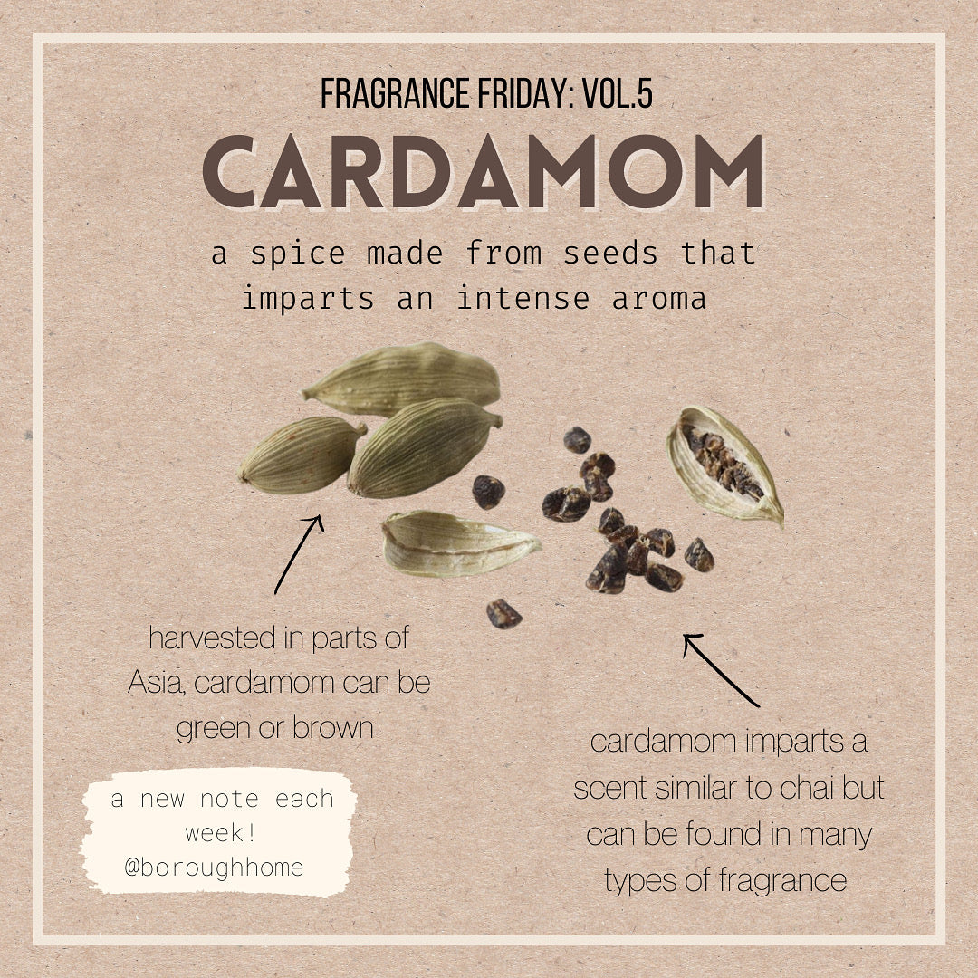 Fragrance Friday Vol. 5: Cardamom