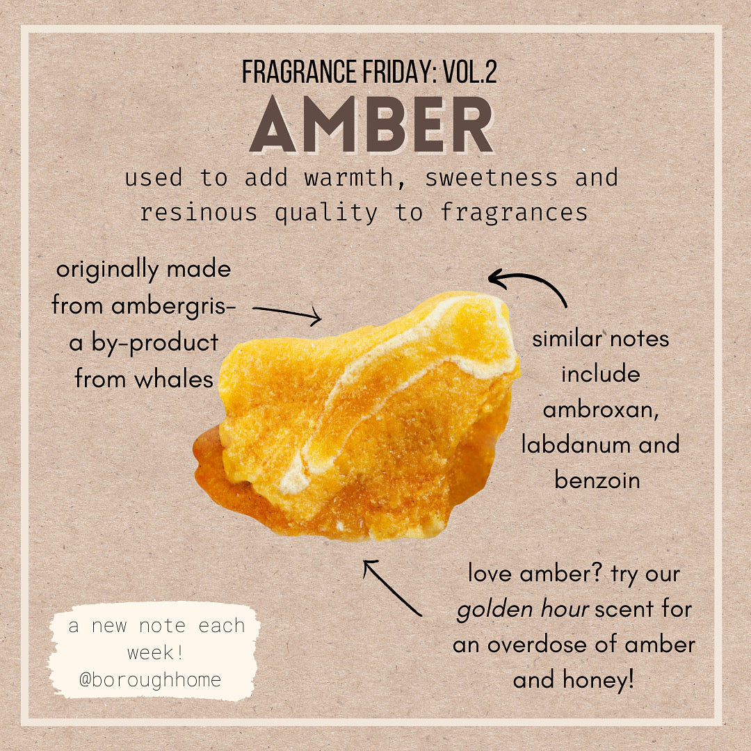 Fragrance Friday Vol. 2: Amber
