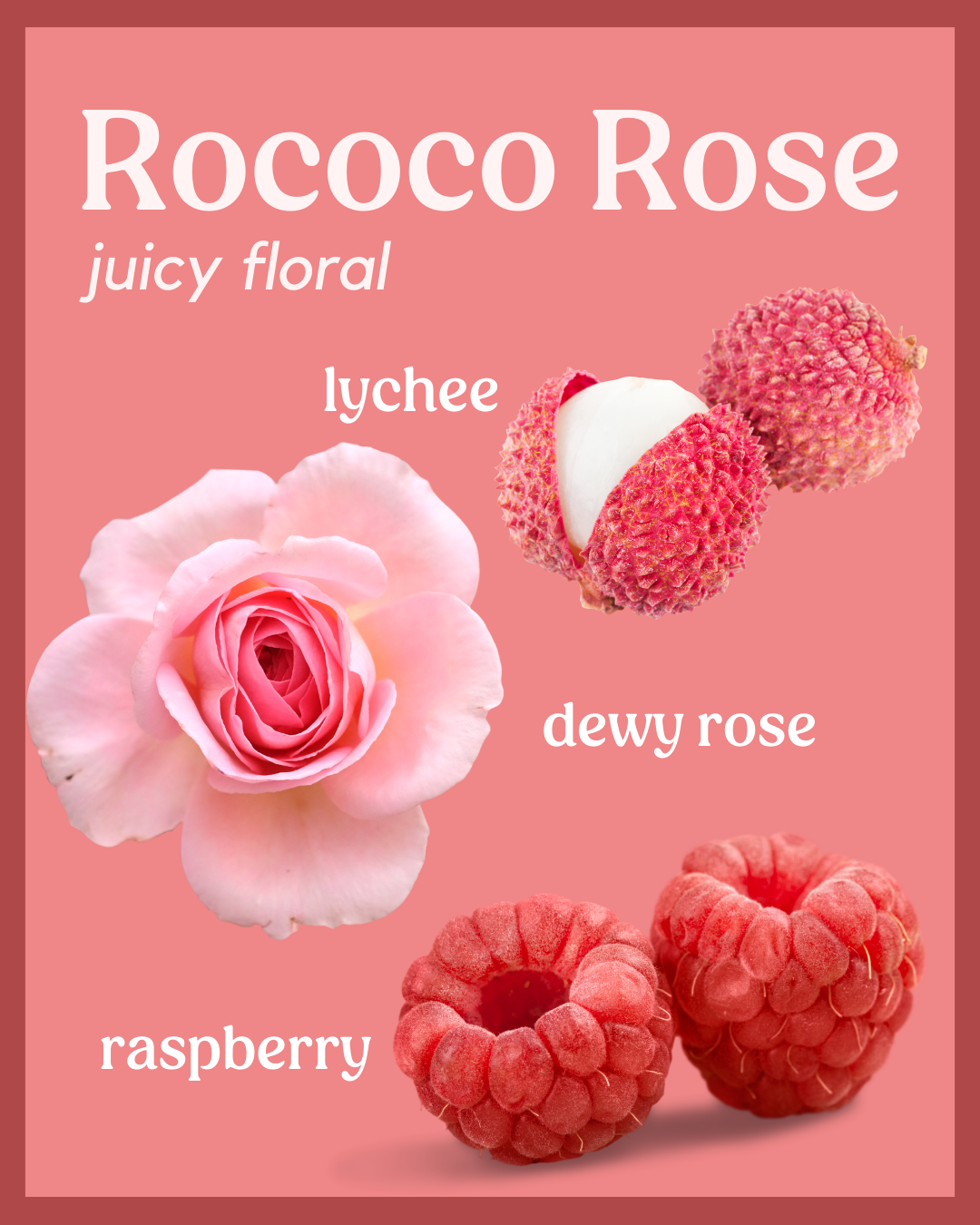 Rococo Rose